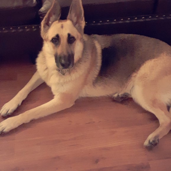 Meet your Posher, Lizanne - Picture 2 of 10